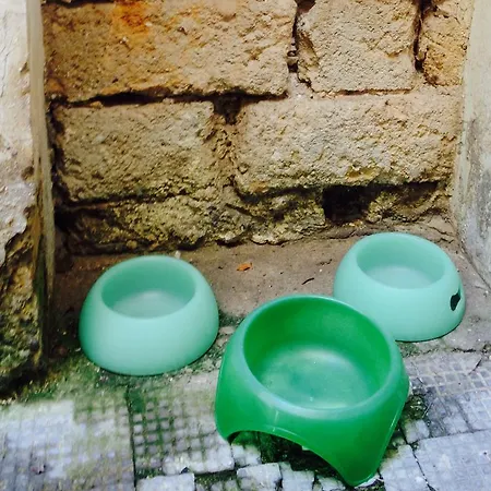 Apartamento Sotto Le Mura
